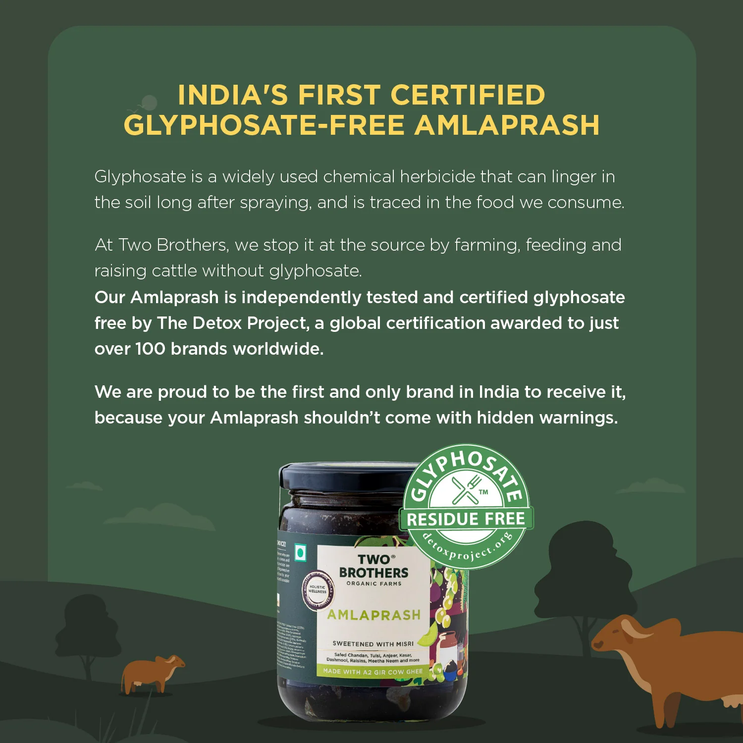 Amlaprash (Limited Edition Chyawanprash) - Image 4