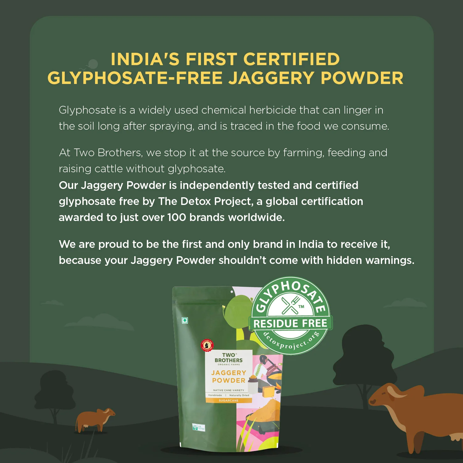Sugarcane Jaggery, Crushed Granular - Image 4