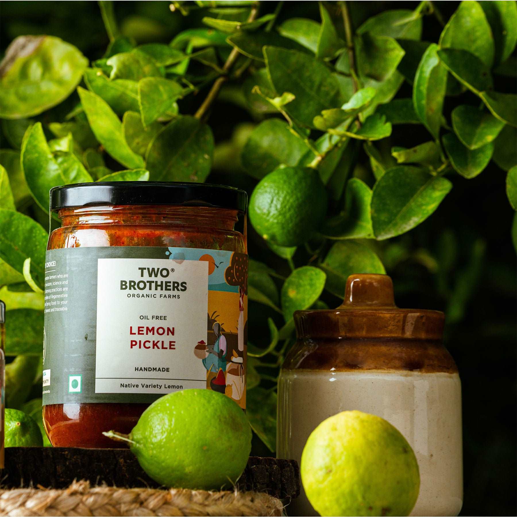 Lemon Pickle -BYOB - Image 15