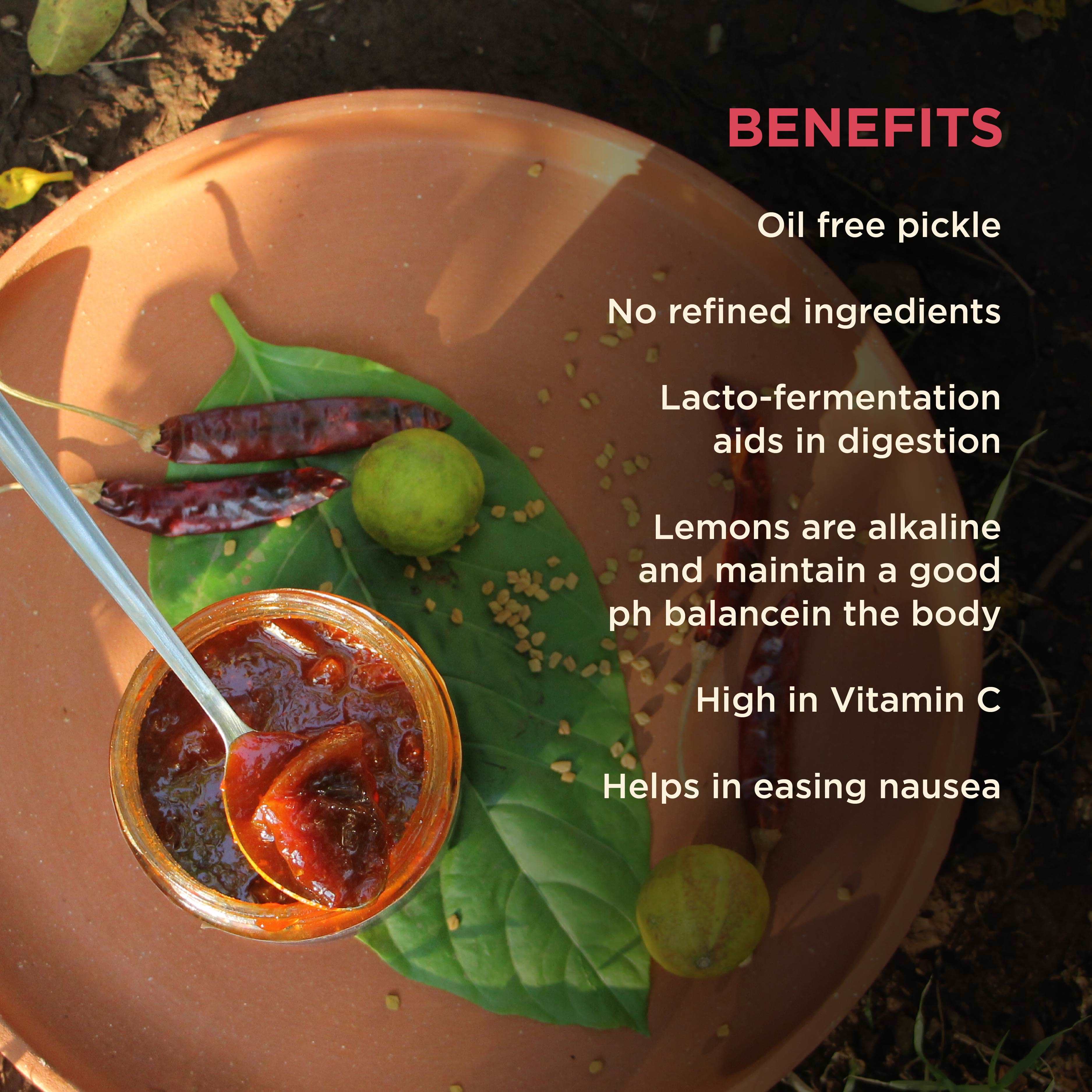 Lemon Pickle -BYOB - Image 23
