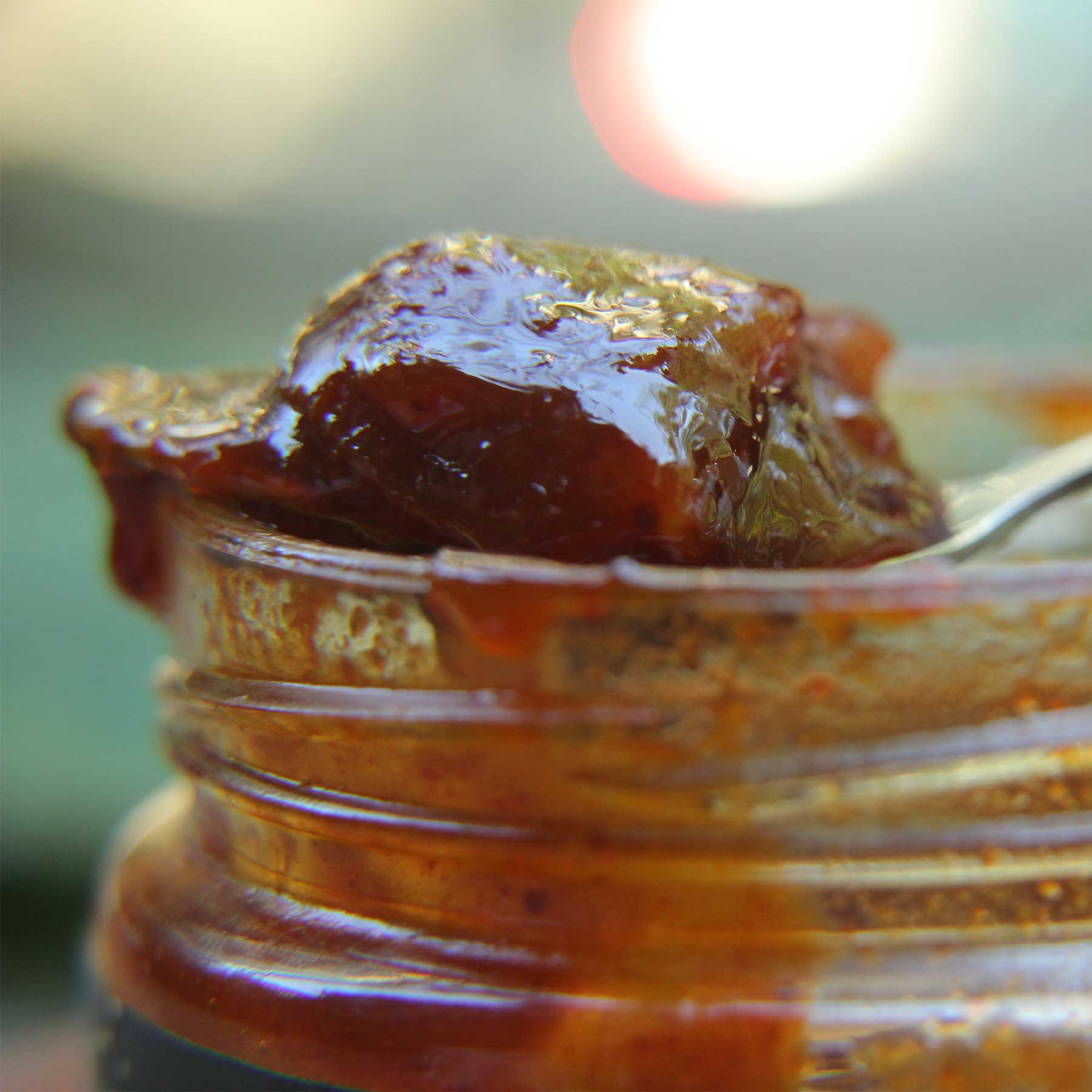 Lemon Pickle -BYOB - Image 5