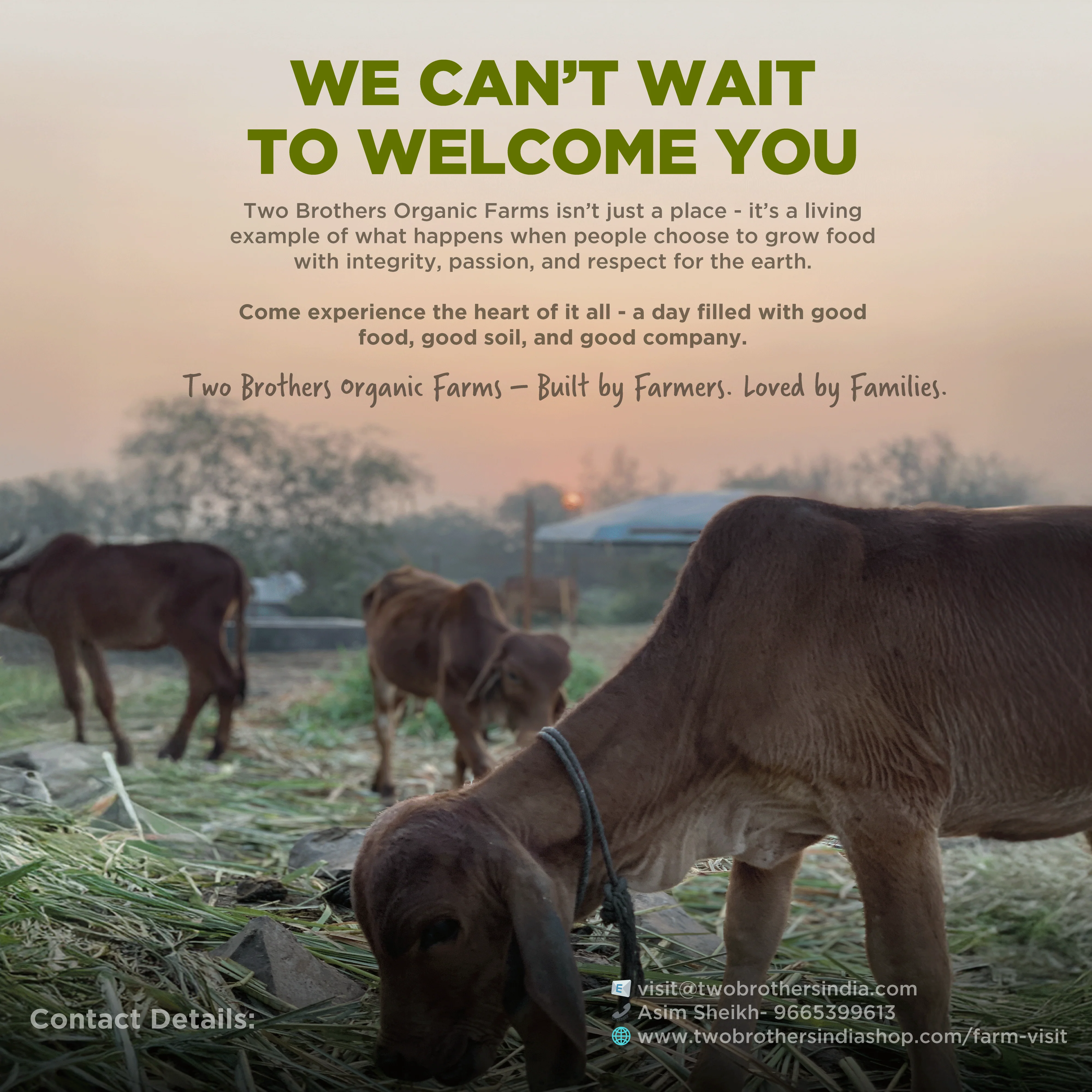 Visit your farm - where all the goodness comes from - Image 6